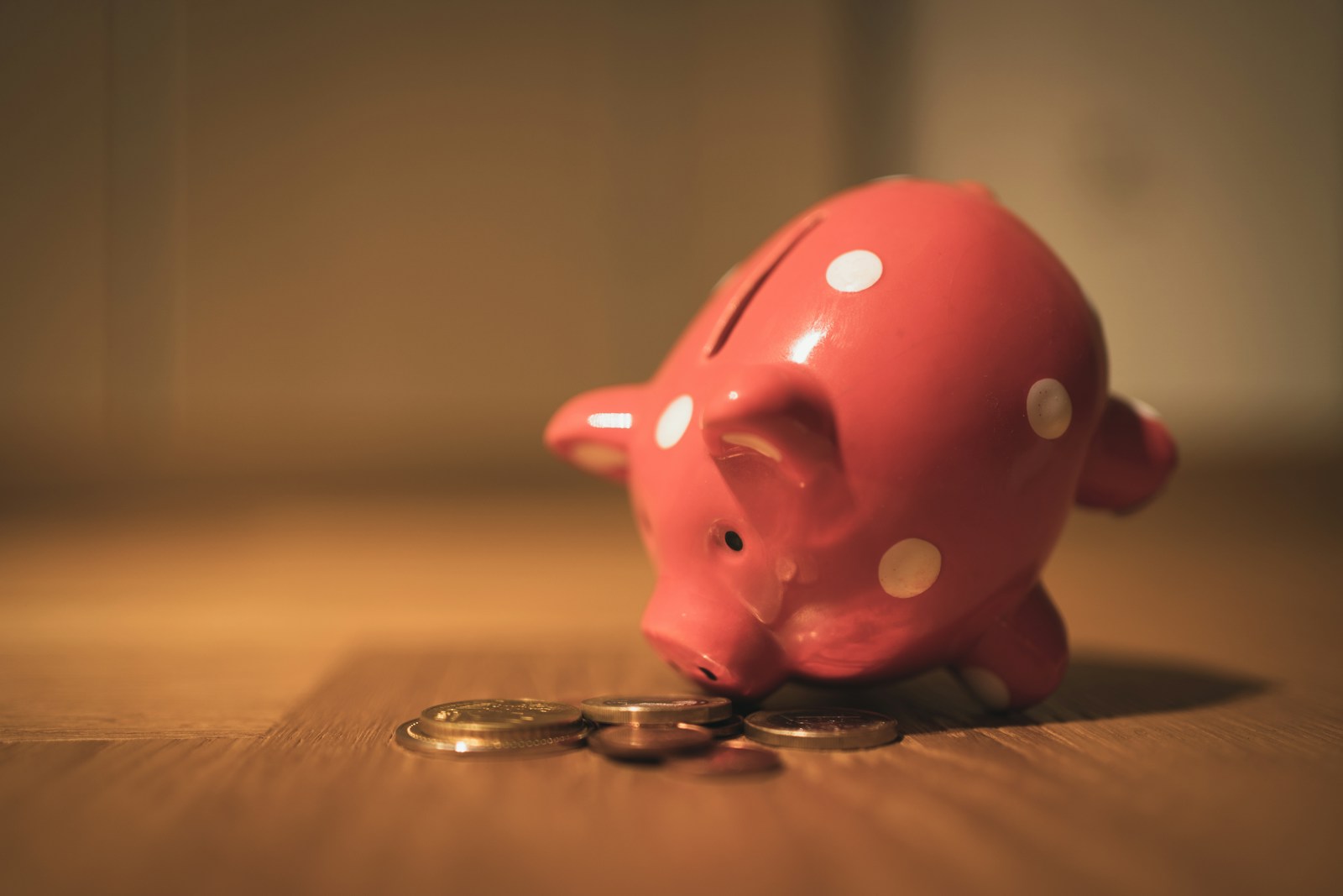 Piggy bank or wallet image with the word "Affordable" highlighting cost-effective travel options only offered by crab a ride carpool & lift club platform in South Africa and Africa.