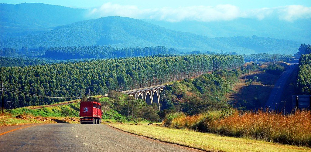 Young South African professionals carpooling from Johannesburg to Tzaneen on Friday evening, with scenic Limpopo landscapes visible through car windows